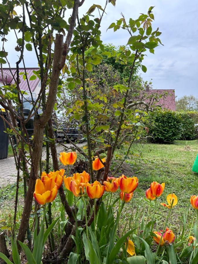 Fewo Michistrasse Forchheim  Luaran gambar